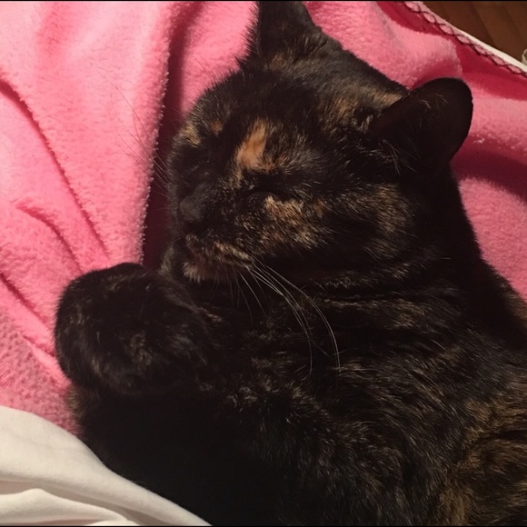 Meet your Posher, Angie - Picture 5 of 8